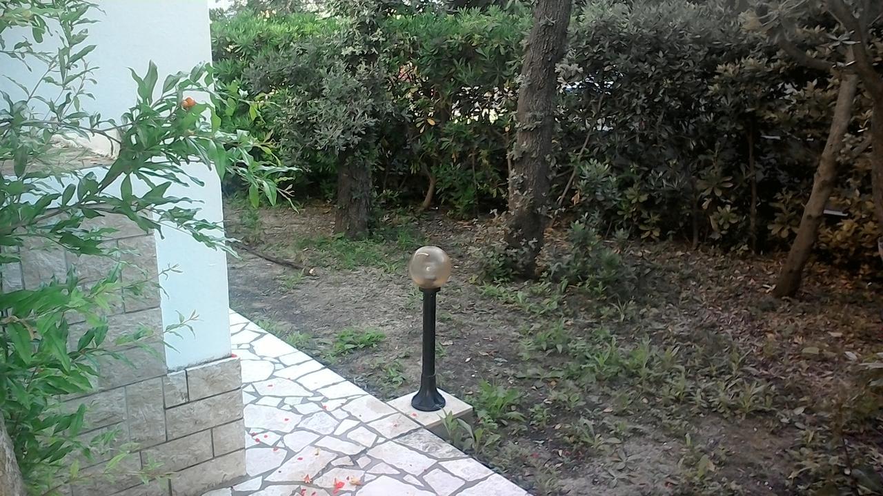 Apartment Apartment *